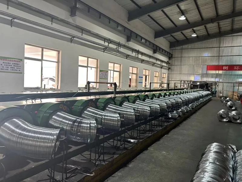 Tarpaulin Rolls